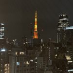 研修と観光の東京、埼玉出張2日間の旅