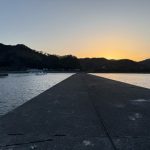 魚の写真をあげれない最近のちょい釣り日記