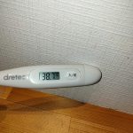 とうとう体調不良で寝込んでしまいました。