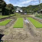 田植え２０２５　実家の田んぼのお手伝い。