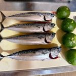 【高知名物】時期の限られた鮮度マックスな魚グルメ、「メジカの新子」を食す回