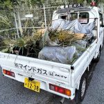 ガスボンベ庫裏の草刈りとゴミの掃除をしてきました。