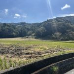 ザ・稲刈り2025(続) ようやく刈り終えることができました!!