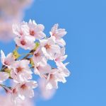 ≪趣味紹介シリーズ≫今月の1曲⑦