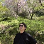 仁淀川町にある「ひょうたん桜」に会いに行ってきました。