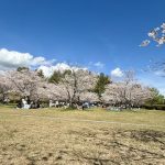 春といえば〇〇〇