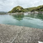 しばらく行ってなかったちょい釣り日記の再開