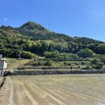 今年もやってきました！実家の田んぼのお手伝い２０２６（籾まき＆田植え）