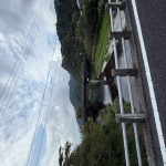 大野見村の夏祭りに行ってきました